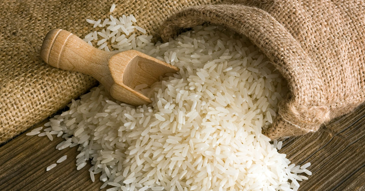 Assam college opens a rice bank for preserving indigenous rice breeds