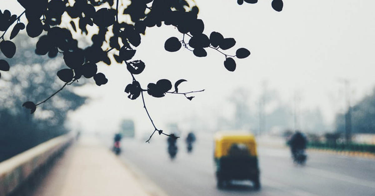 Delhi winter