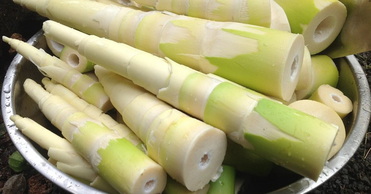 bamboo shoots of Tripura