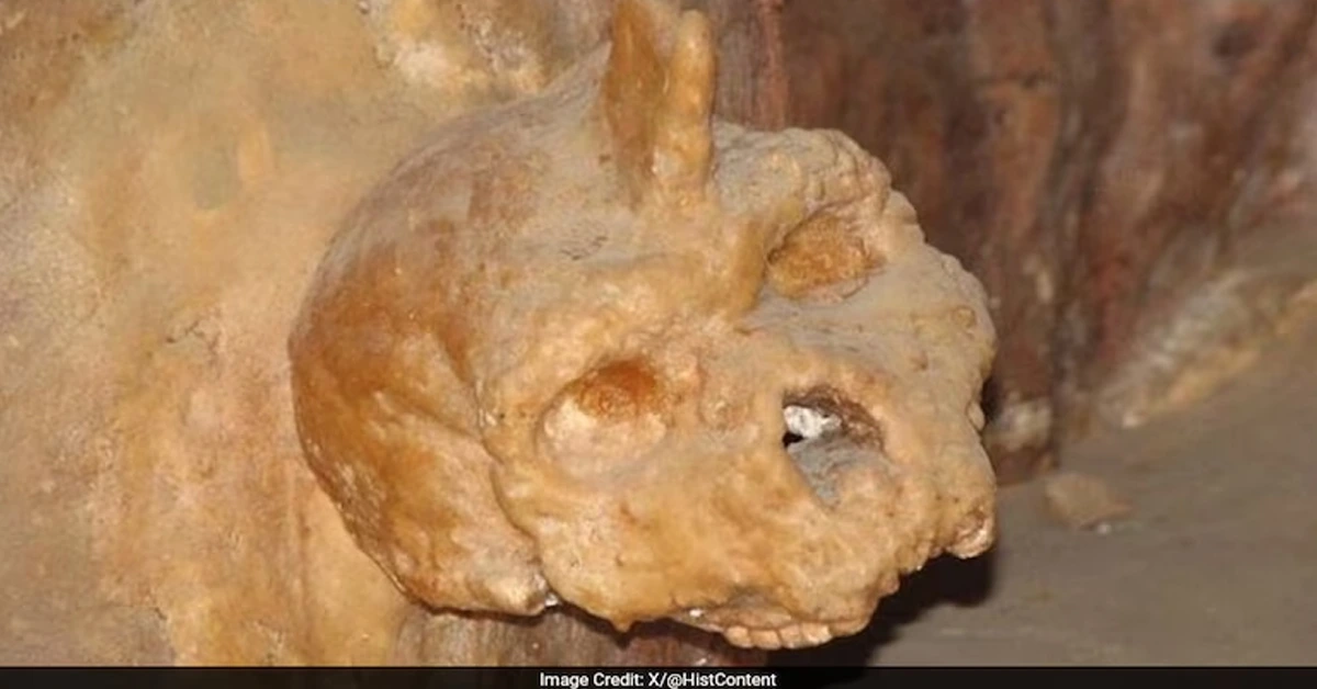 Petralona Skull